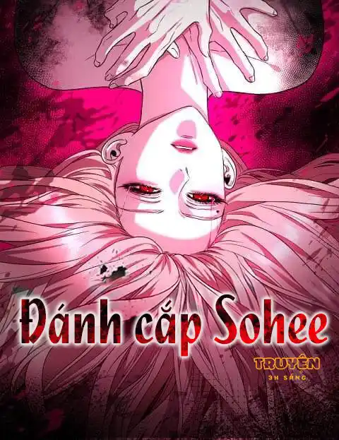 Bìa Đánh cắp Sohee